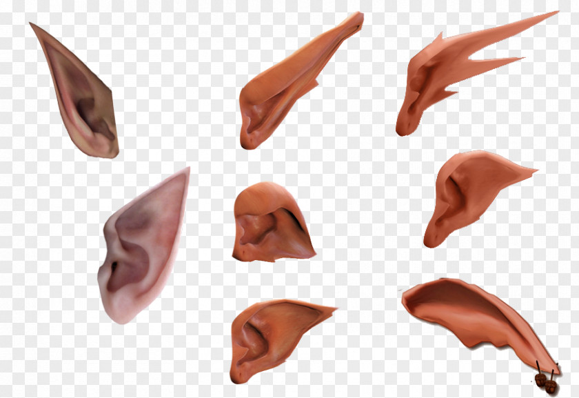 Wizard Ears Daquan Material Free To Pull Ear Elf Software PNG