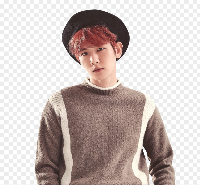 Baekhyun EXO XOXO K-pop Musician PNG