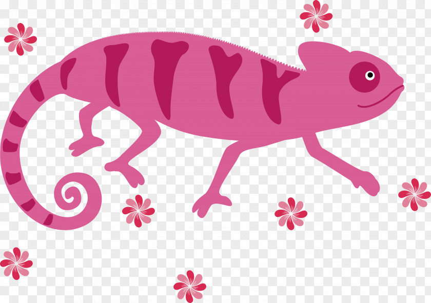 Chameleon PNG