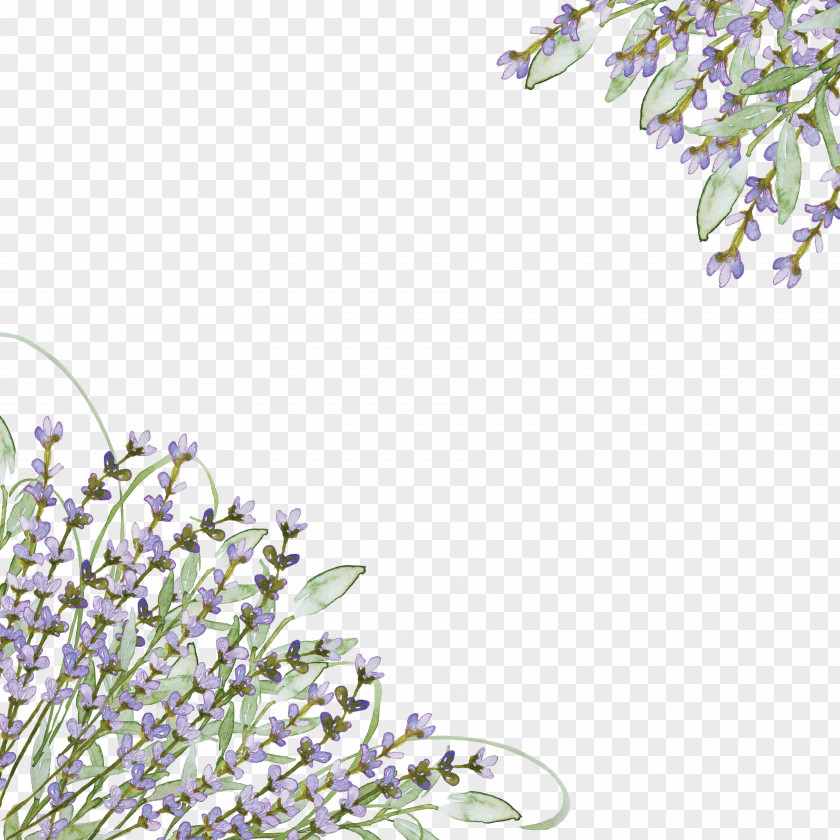Hand-painted Lavender Wedding Invitation Purple Flower Clip Art PNG