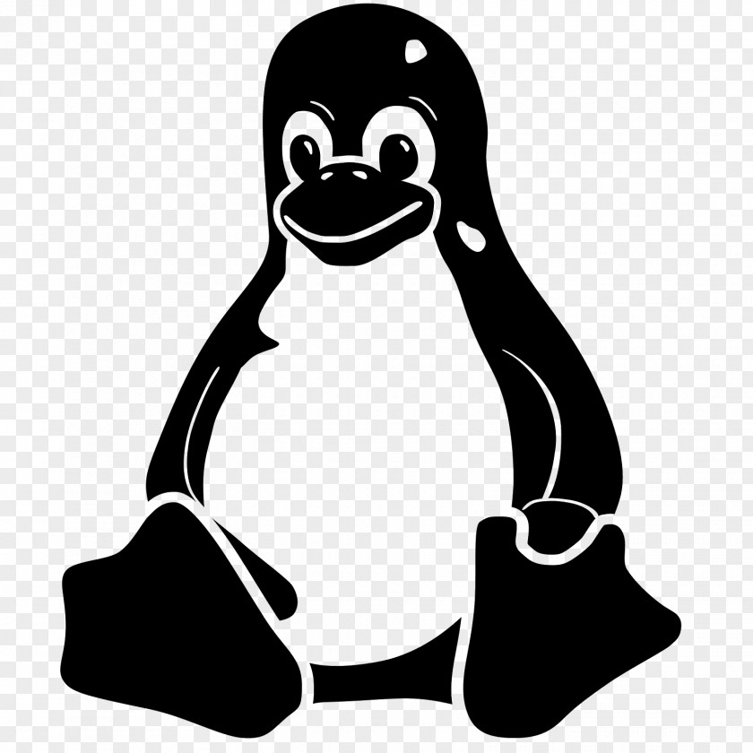 Linux Operating Systems APT PNG