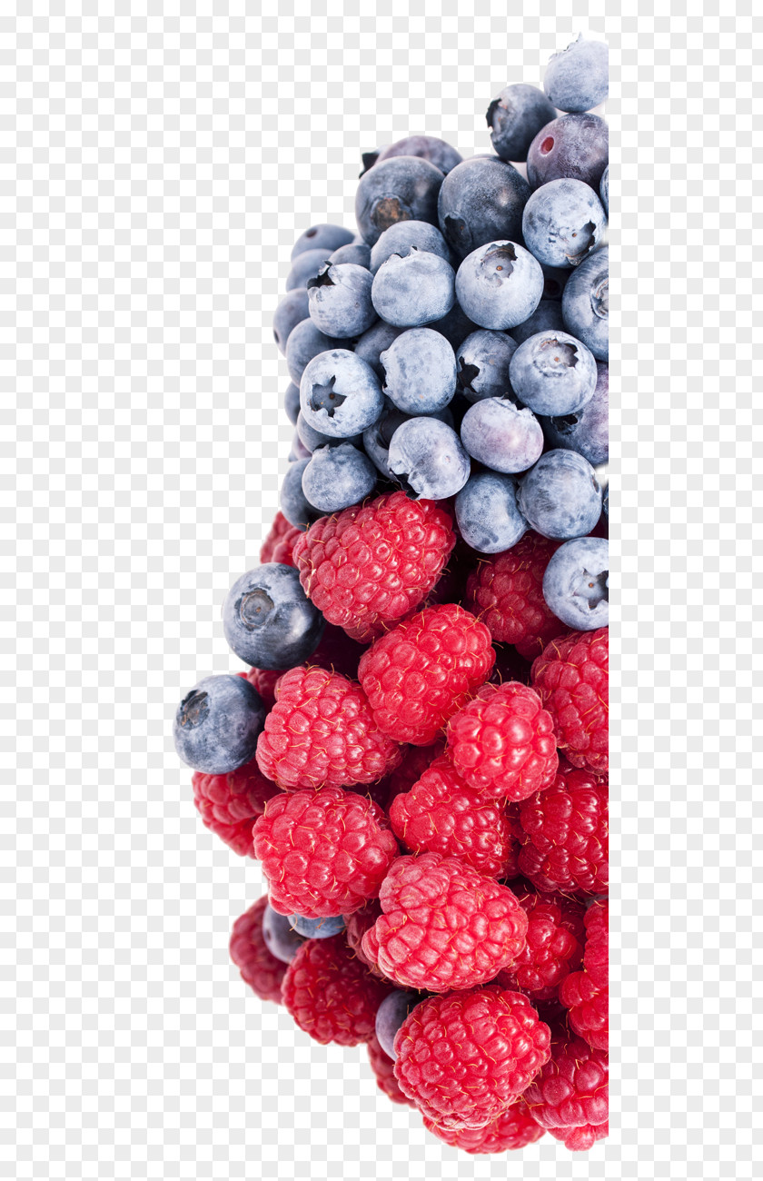 Raspberry Superfood Nutrient Bilberry PNG