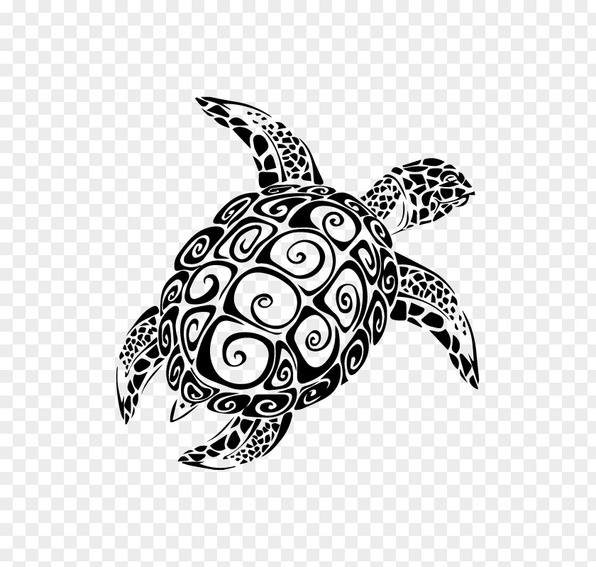 Turtle Sea Wall Decal Sticker PNG