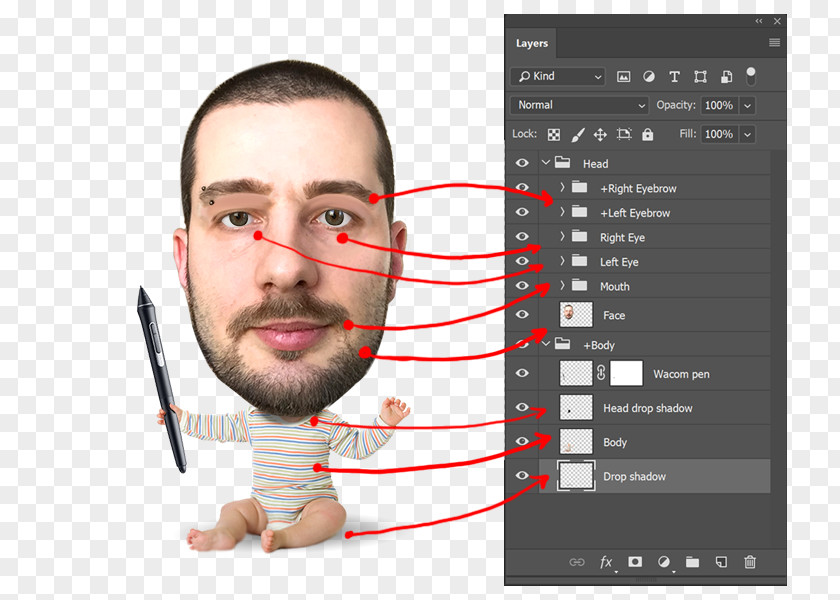 Animation Chin Adobe Character Animator Eyebrow Face PNG