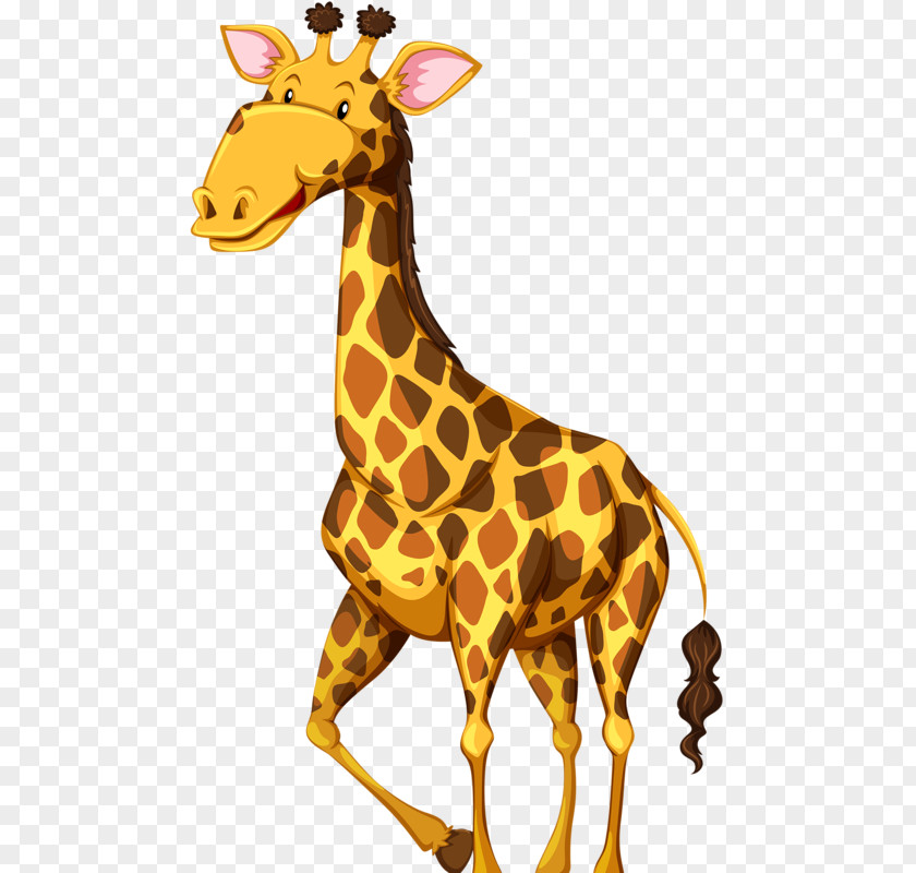 Giraffe Wildlife Royalty-free Illustration PNG