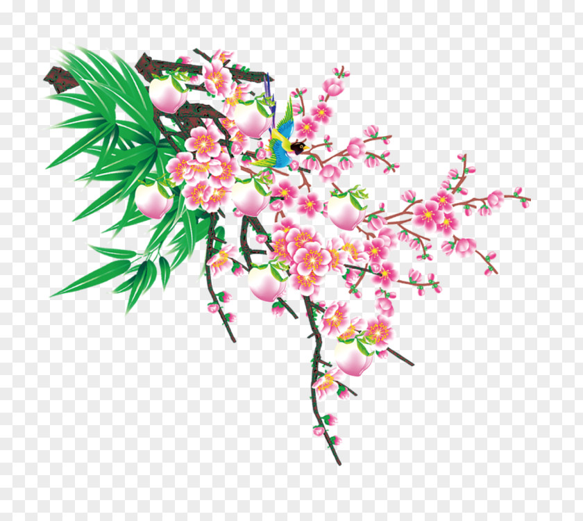 Peach Tree Plum Blossom Google Images PNG