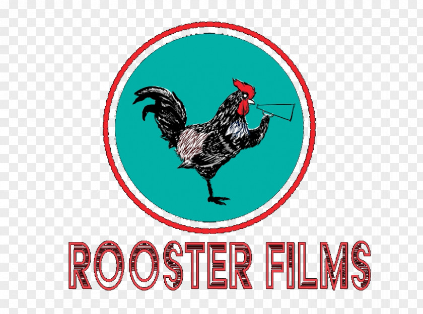 Rooster Chicken Film Bird Phasianidae PNG