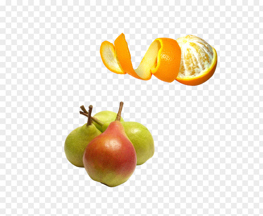 Sydney Creative Fruit Pear Vegetable Orange PNG