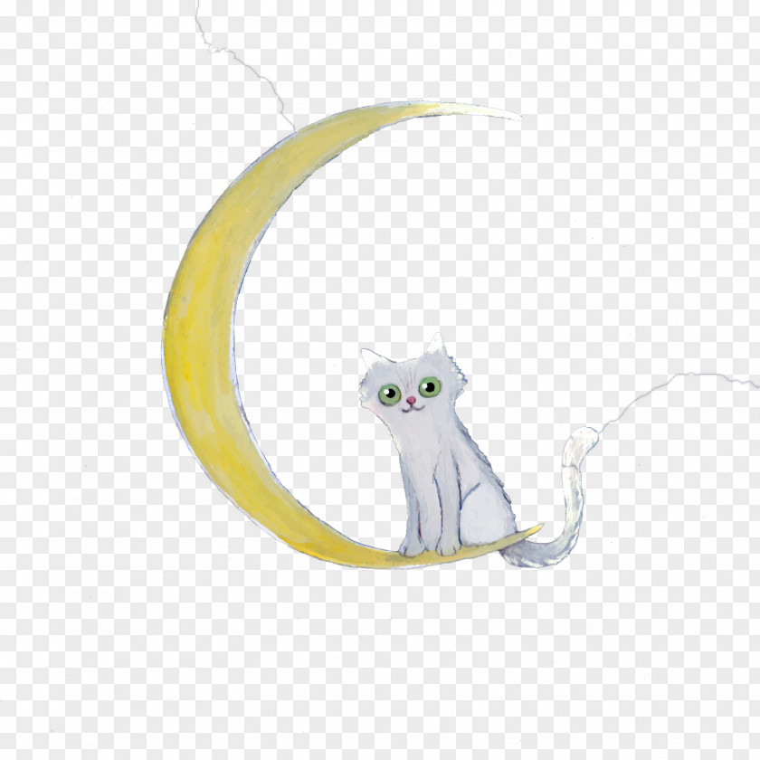 Vector Moon Cat Cartoon Tail Illustration PNG
