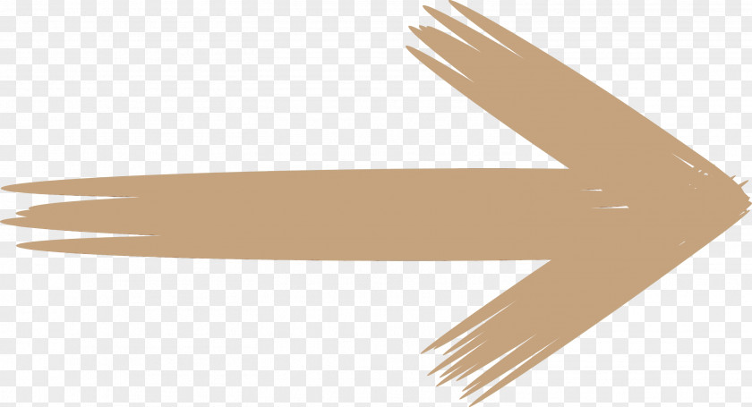 Beige Wing PNG