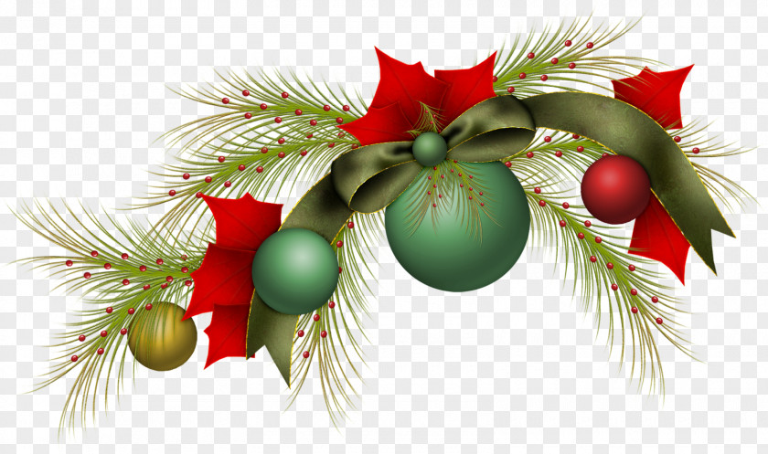 Bookworm Christmas Tree Fir Branch Bombka PNG