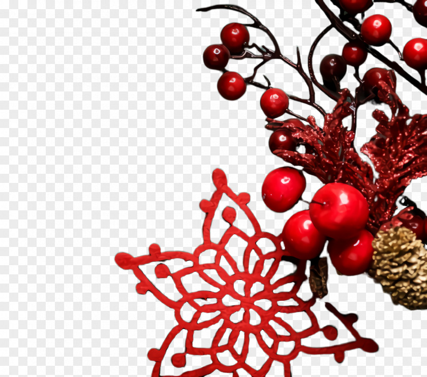 Ilex Verticillataamerican Winterberry Berry Christmas Decoration PNG