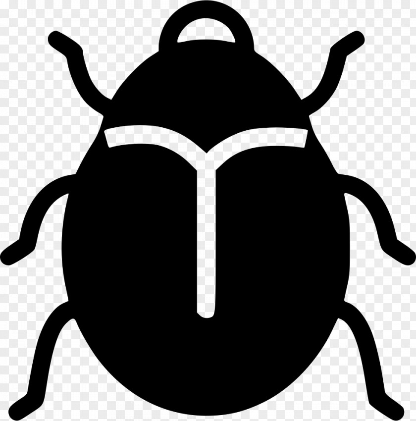 Insect Drawing PNG