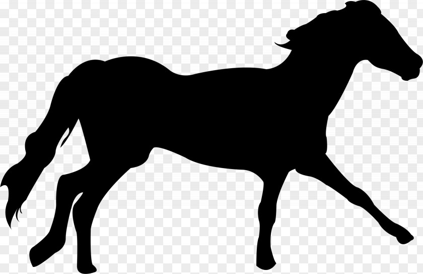 Running Horses Mustang Clydesdale Horse Arabian Dartmoor Pony PNG