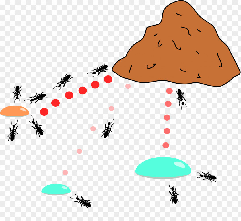 Ants Ant Colony Optimization Algorithms Behavior Animal PNG