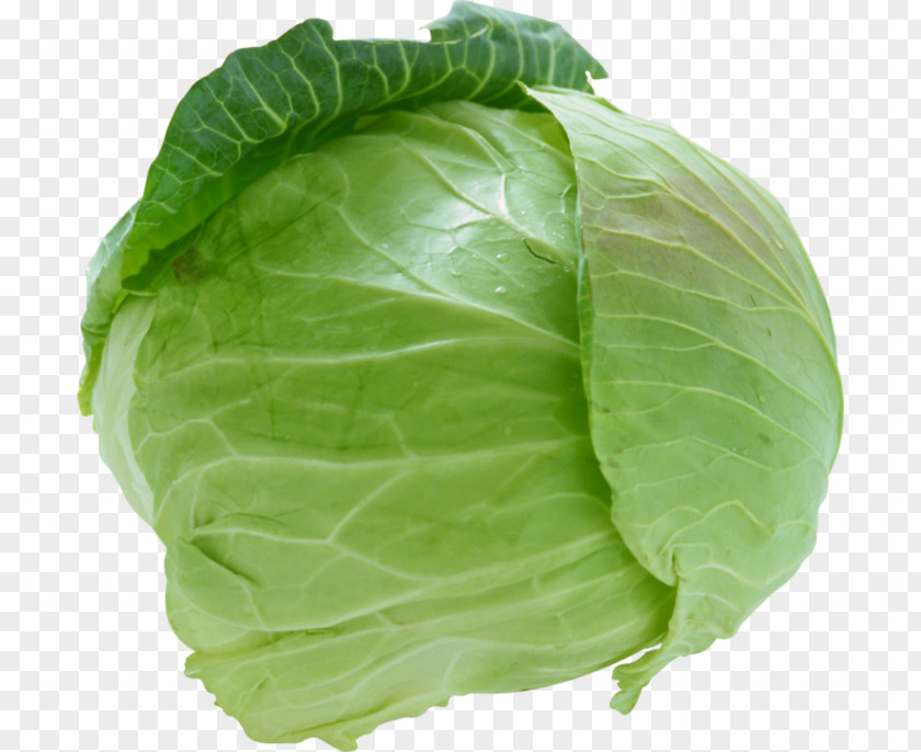 Cabbage Savoy Cauliflower Coleslaw Vegetable PNG