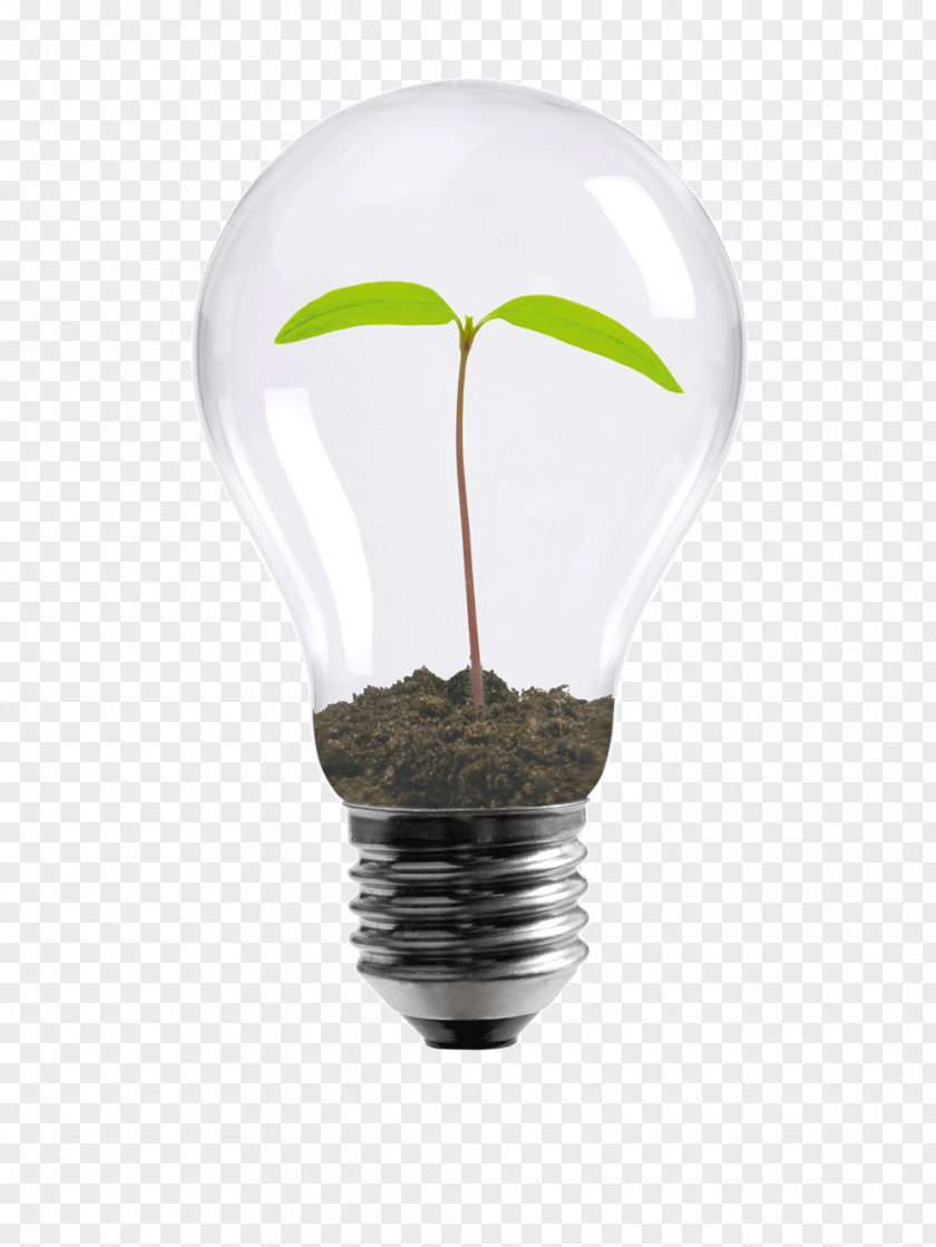 Light Bulb Logo Incandescent Energy Conservation Design Efficient Use PNG