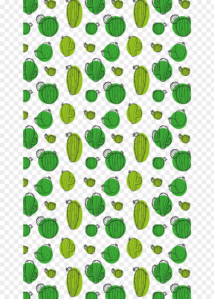 Cactus Background Cactaceae Green Wallpaper PNG