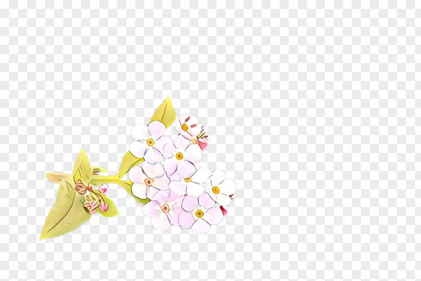 Cherry Blossom PNG