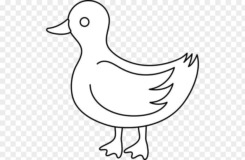 Free Line Clipart American Pekin Duck Mallard Black And White Clip Art PNG