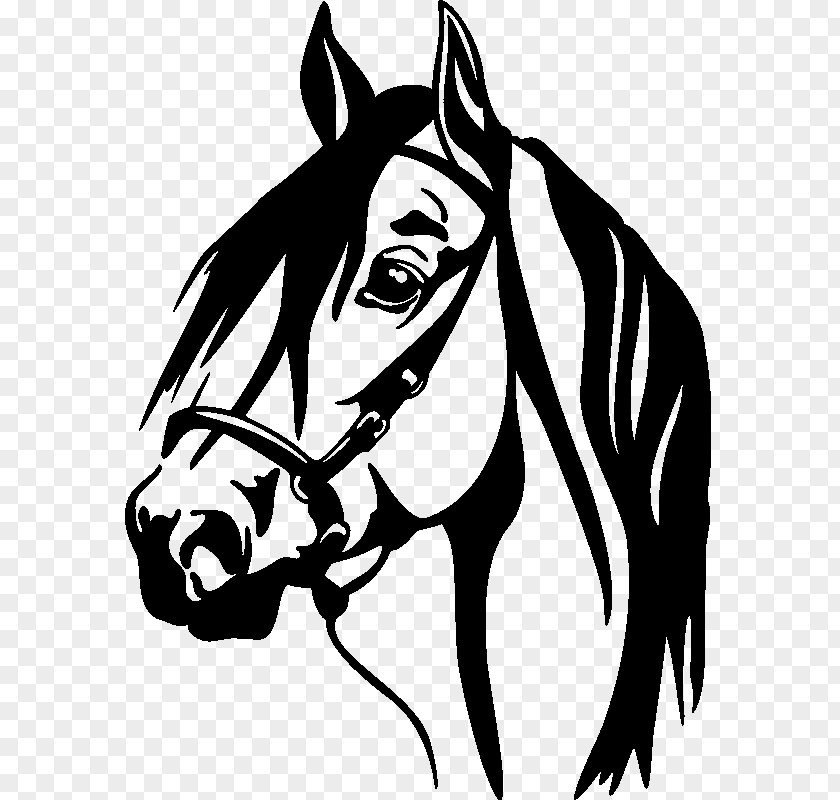 Horse Wall Decal Window Sticker PNG