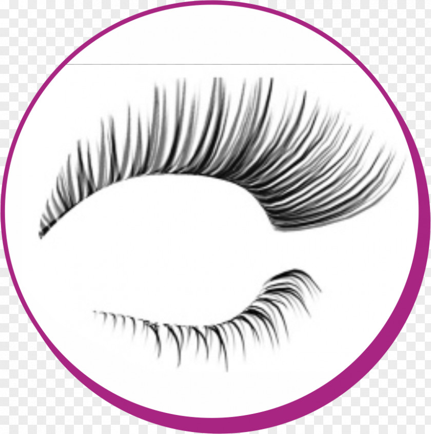 Steril Eyelash Extensions Cosmetics Mascara PNG