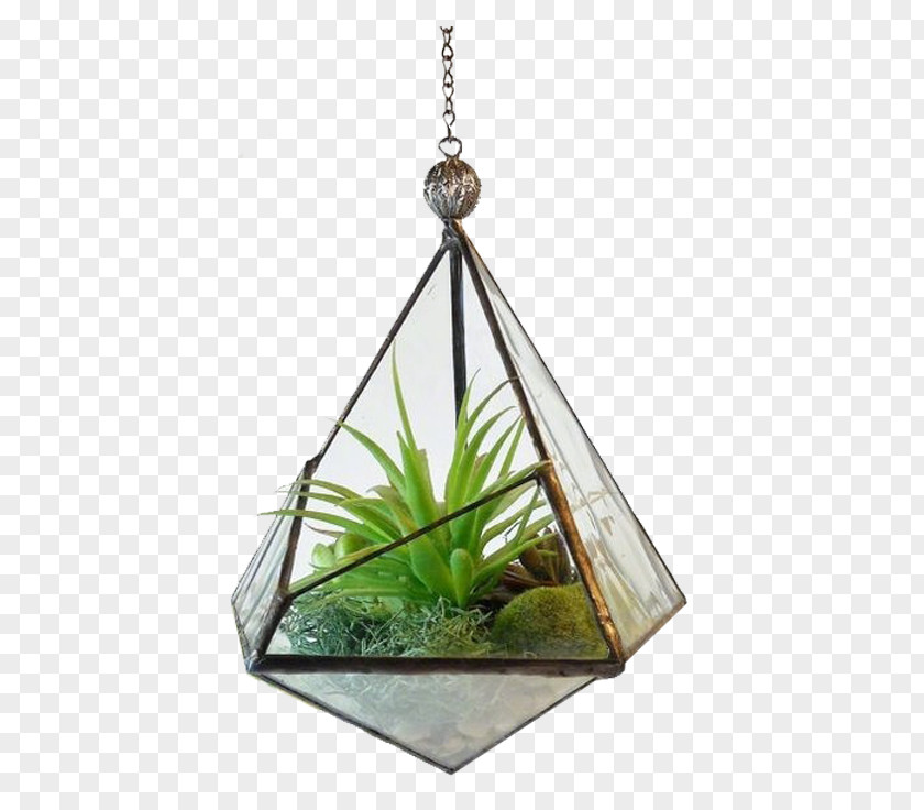 Walled Potted Aloe Vera Terrarium Stained Glass Geometry Plant PNG
