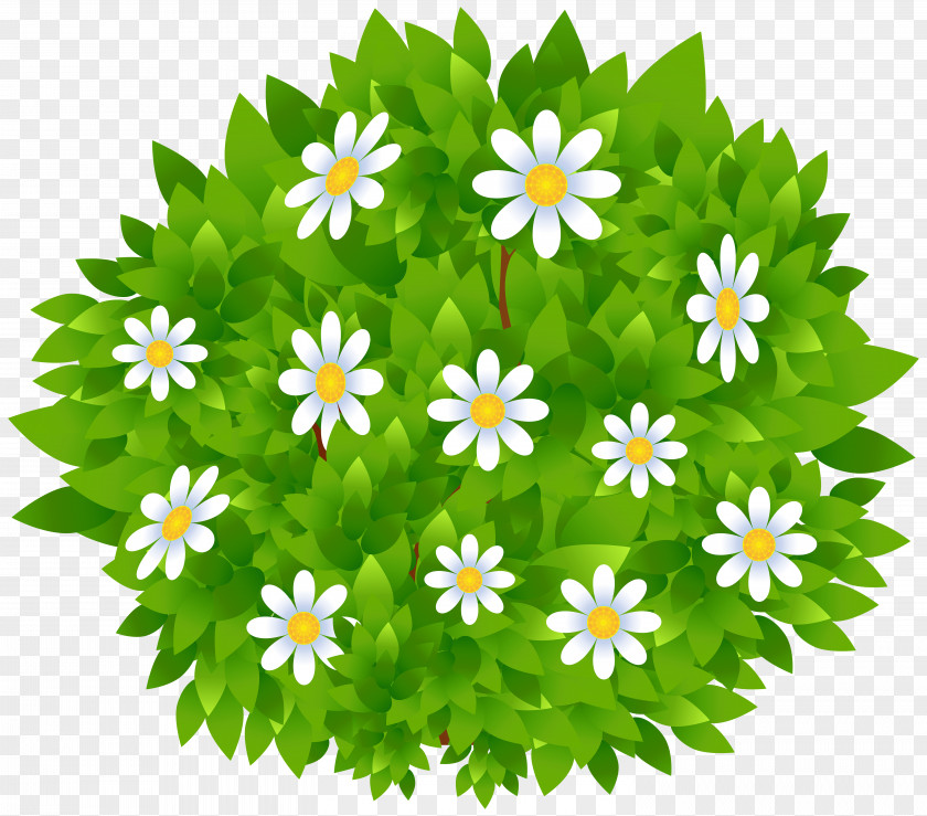 Clip Art Shrub Image Vector Graphics PNG