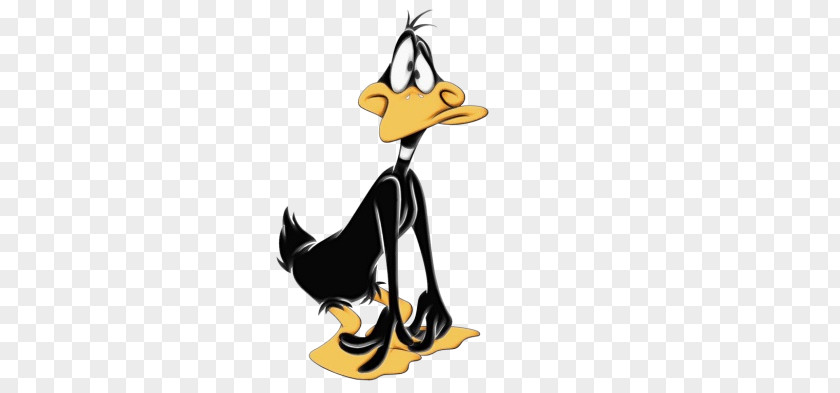 Daffy Duck Desktop Wallpaper Cartoon Television PNG