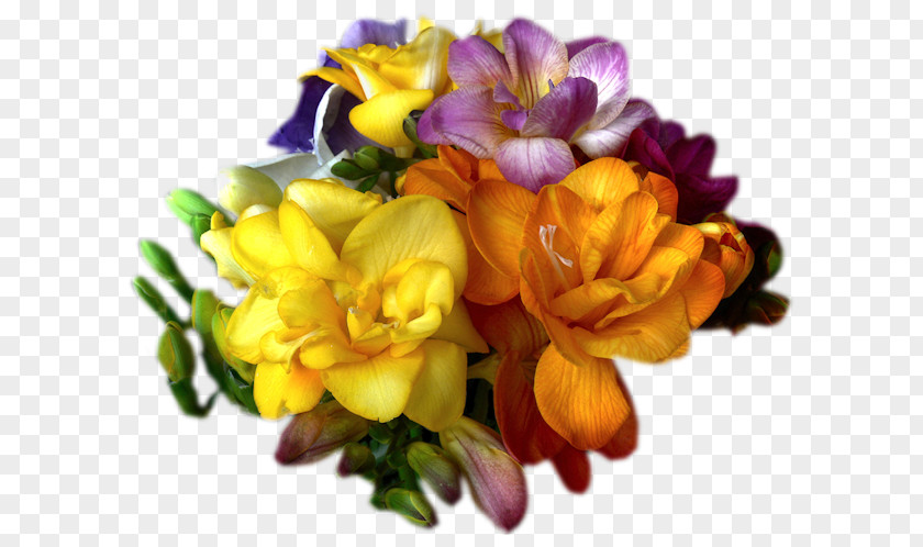 Dendrobium Iris Flowers Background PNG