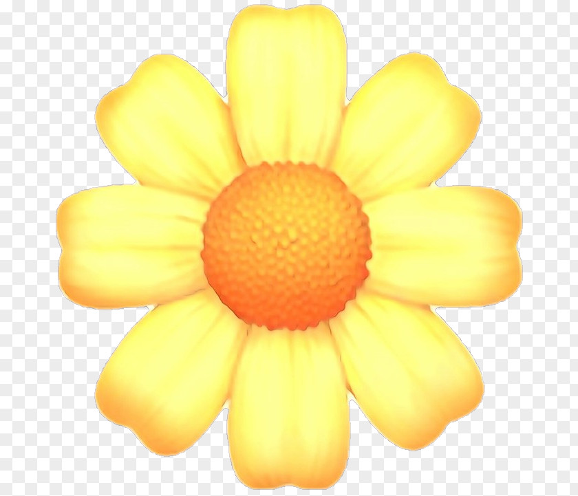 Gerbera Daisy Family Flower Emoji PNG