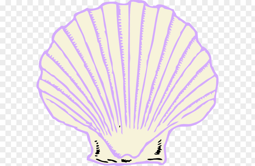 Seashell The Oyster-Shell Clip Art PNG
