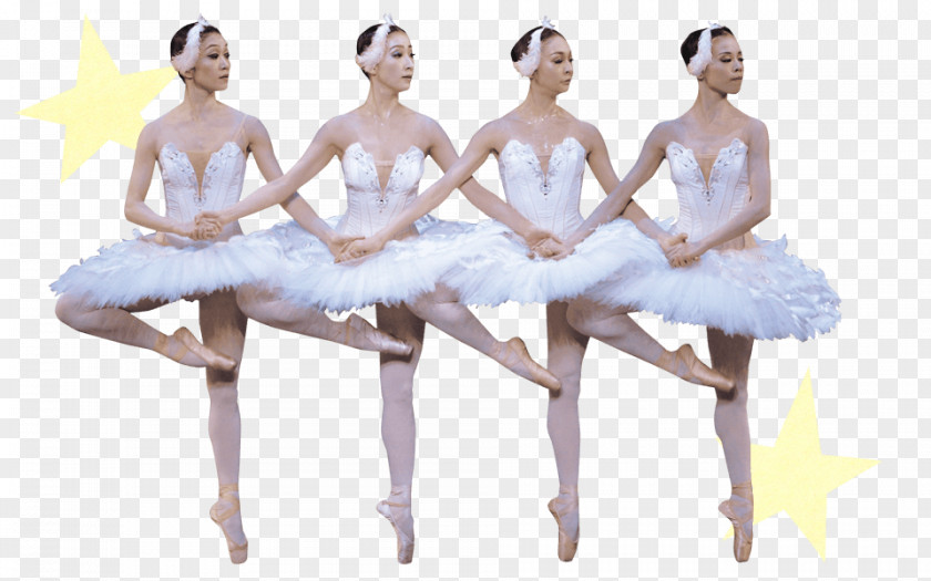 Swan Dance Ballet Choreographer Tutu Choreography PNG