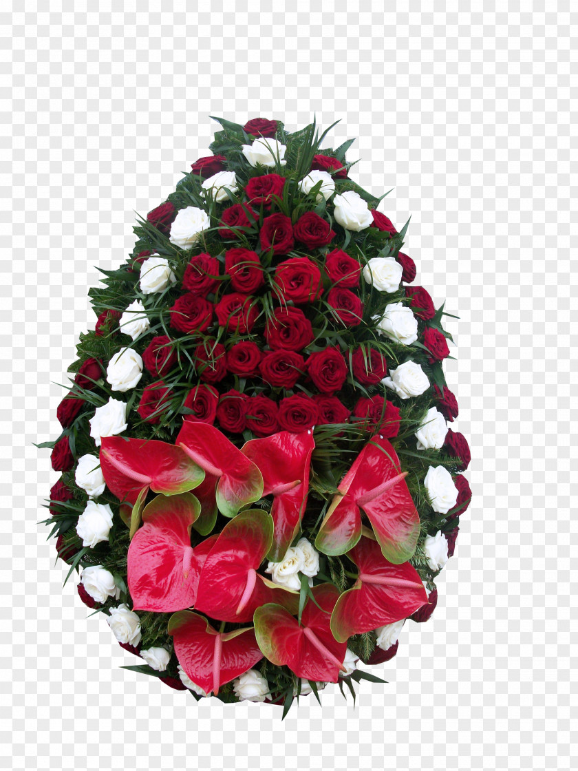 Anthuriums Garden Roses Trendyol Group Cut Flowers Watch PNG