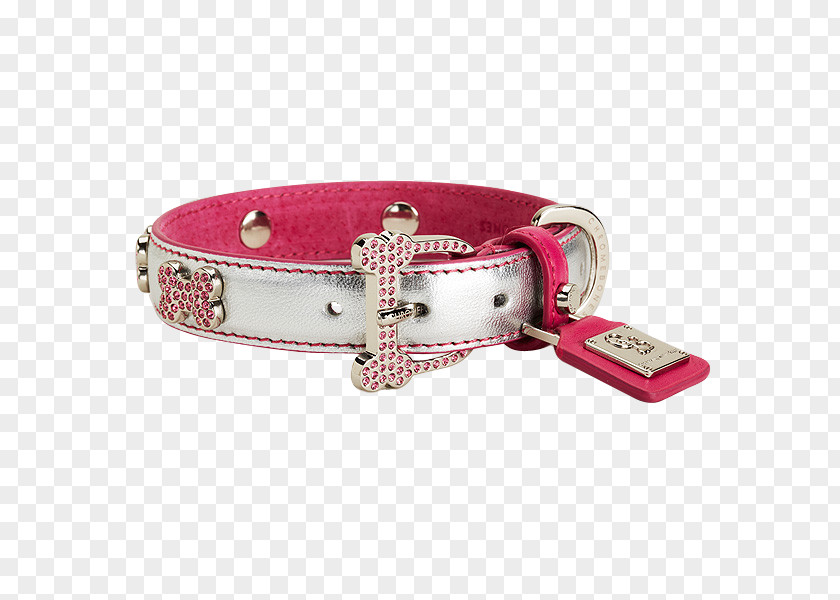 Belt Dog Collar Buckle PNG