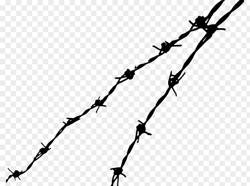 Cartoon Fence Images Barbed Wire Tape Clip Art PNG