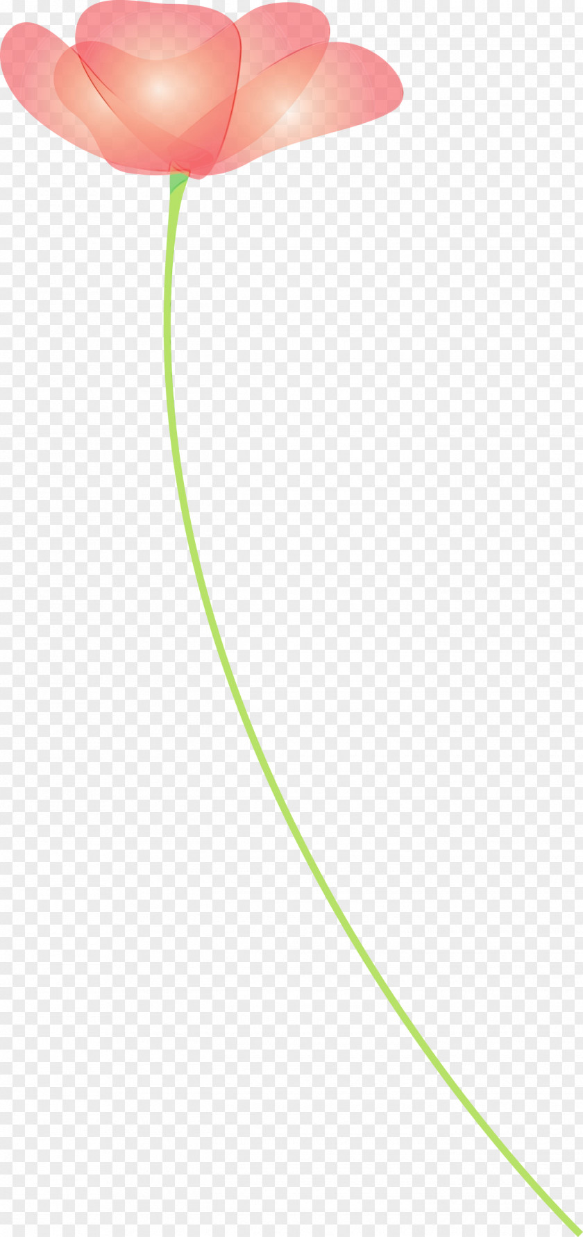 Green Line Circle PNG