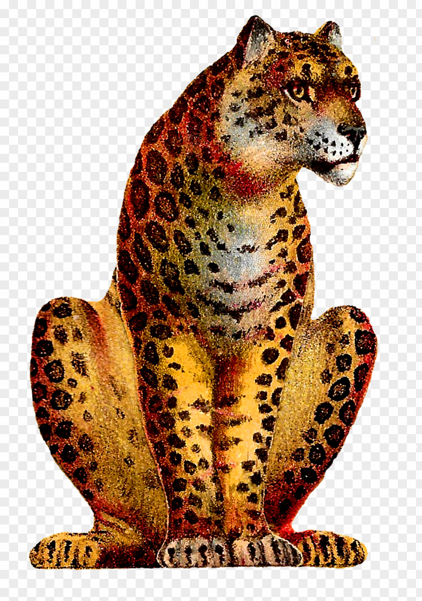 Leopard Cheetah Jaguar Circus PNG