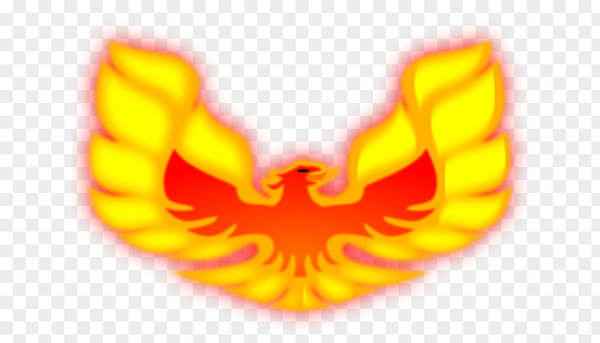 Phoenix Firebird T-shirt PNG
