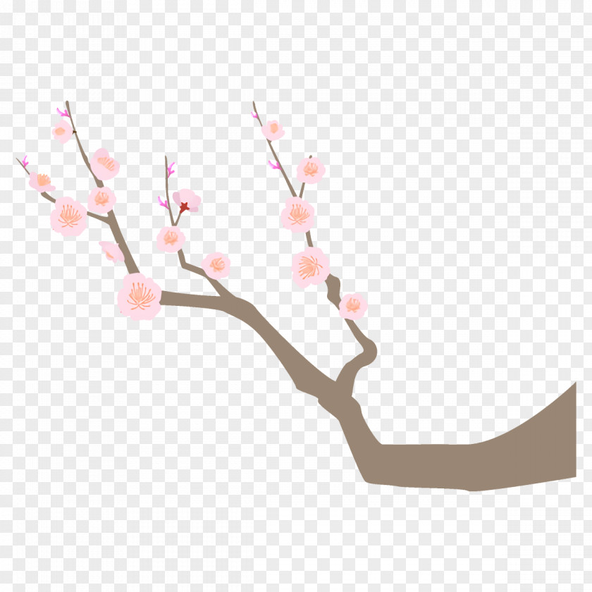 Plum Branch Winter Flower PNG