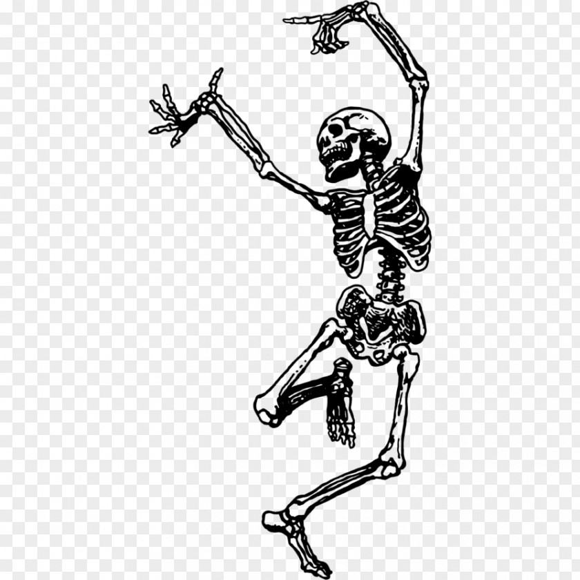 Skeleton Dance Skull Drawing Bone PNG