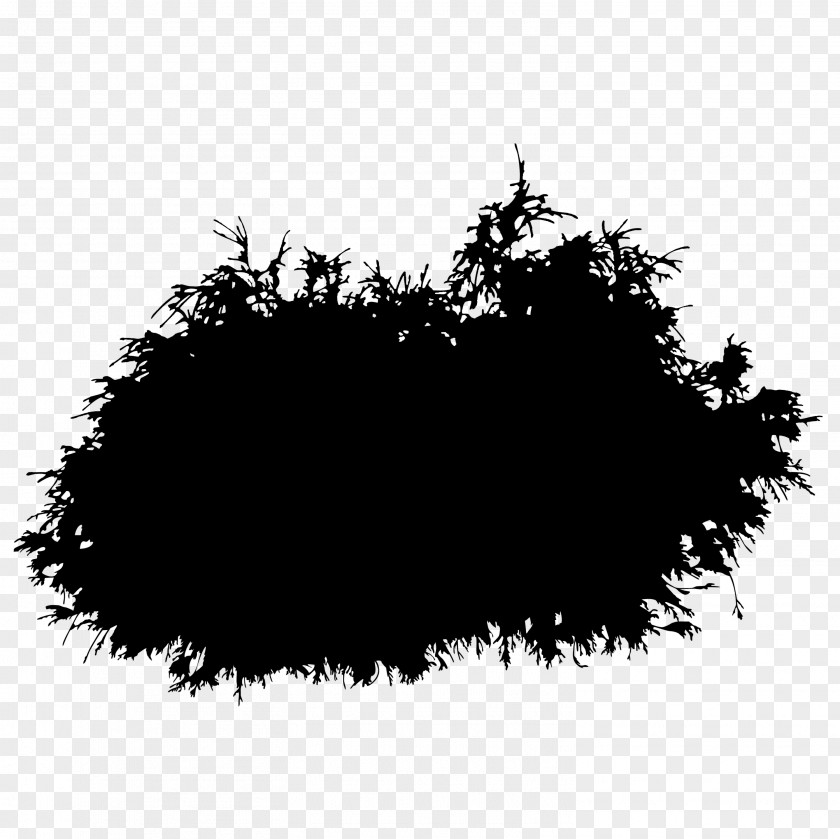 Tree Font Line Black M PNG