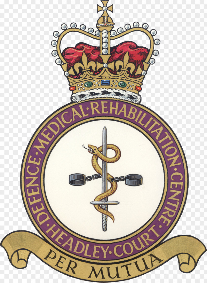 Benevolent Badge RAF Marham Lossiemouth Royal Air Force No. 207 Squadron PNG