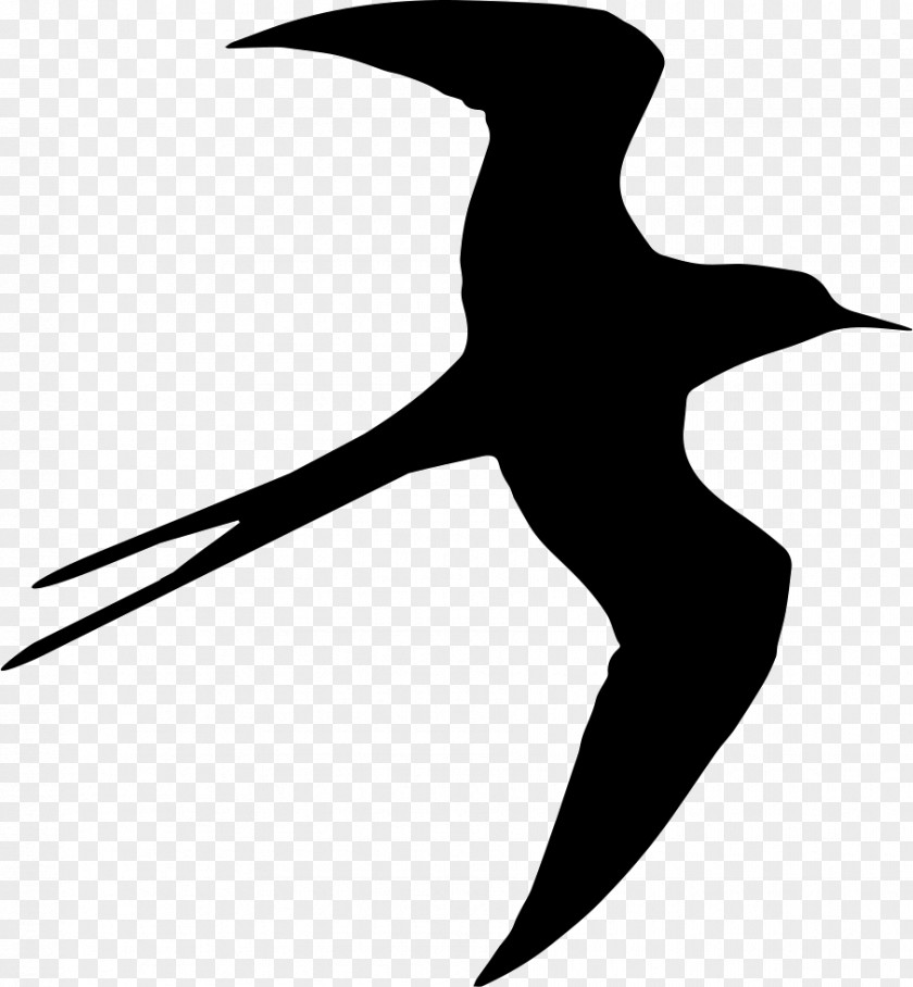 Bird Swallow Silhouette PNG