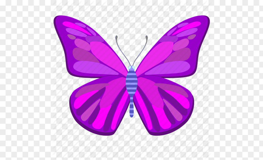 Cartoon Butterfly Monarch Sangay Battus PNG