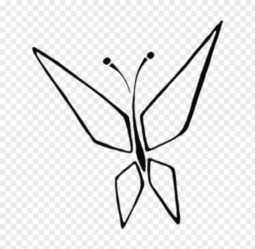 Leaf Line Art Symmetry Plant Stem Clip PNG