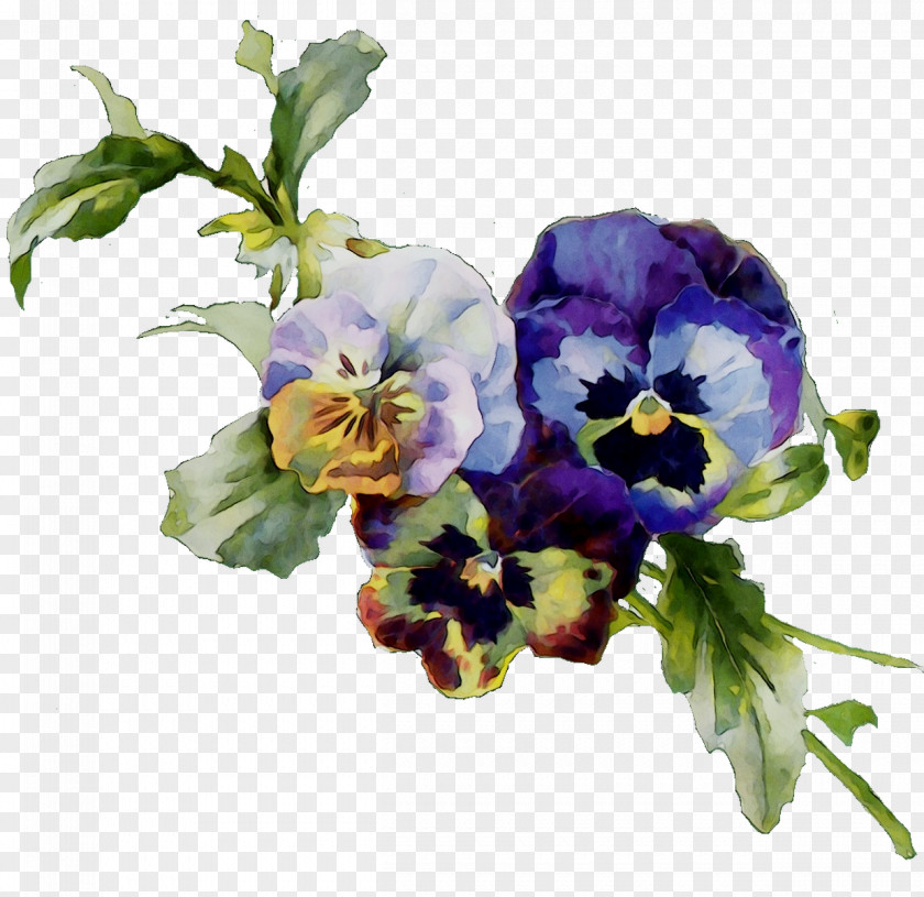 Abziehtattoo Pansy Flash Violet PNG