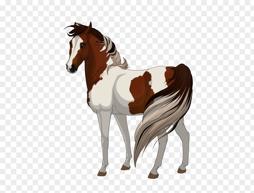 Mustang Stallion Foal Pony Drawing PNG