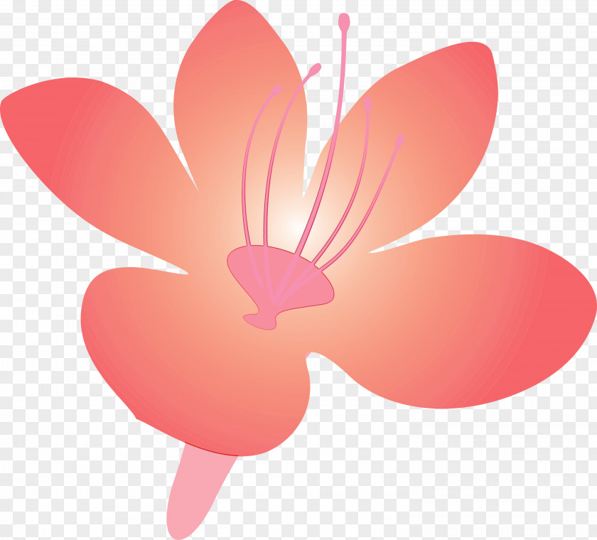 Pink Petal Flower Material Property Plant PNG