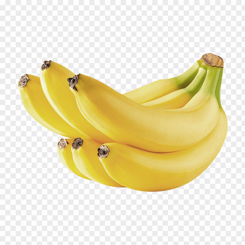 Banana Family Yellow Saba Fruit PNG